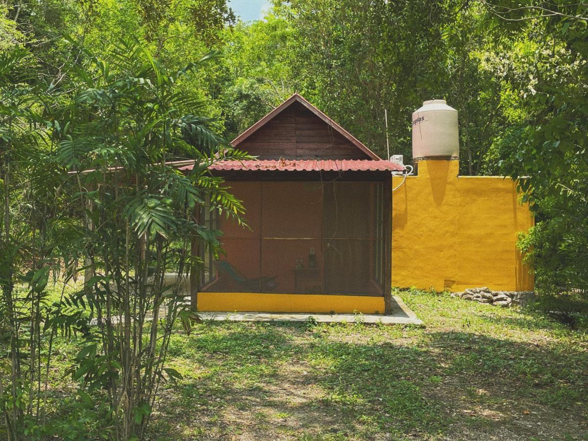 مبيت وإفطار إكسبوجيل Ecohabitat المظهر الخارجي الصورة