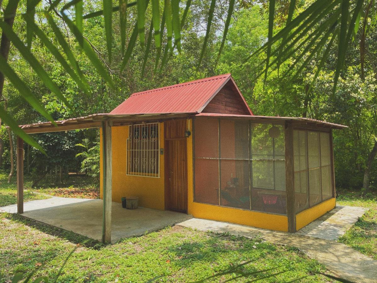 مبيت وإفطار إكسبوجيل Ecohabitat المظهر الخارجي الصورة