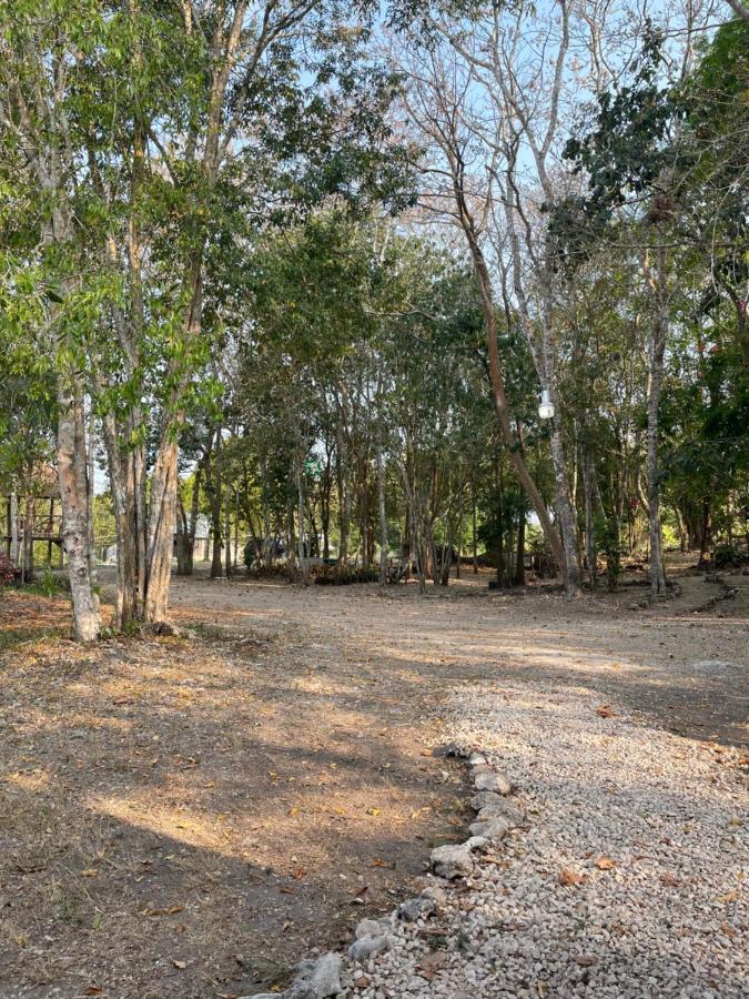 مبيت وإفطار إكسبوجيل Ecohabitat المظهر الخارجي الصورة