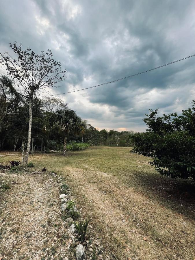 مبيت وإفطار إكسبوجيل Ecohabitat المظهر الخارجي الصورة